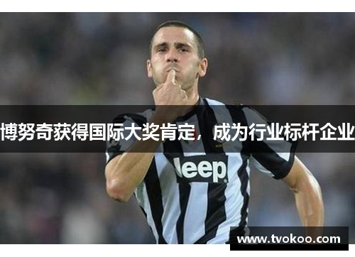 博努奇获得国际大奖肯定，成为行业标杆企业